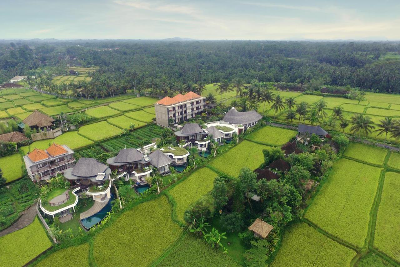 Mango Ubud Kültér fotó