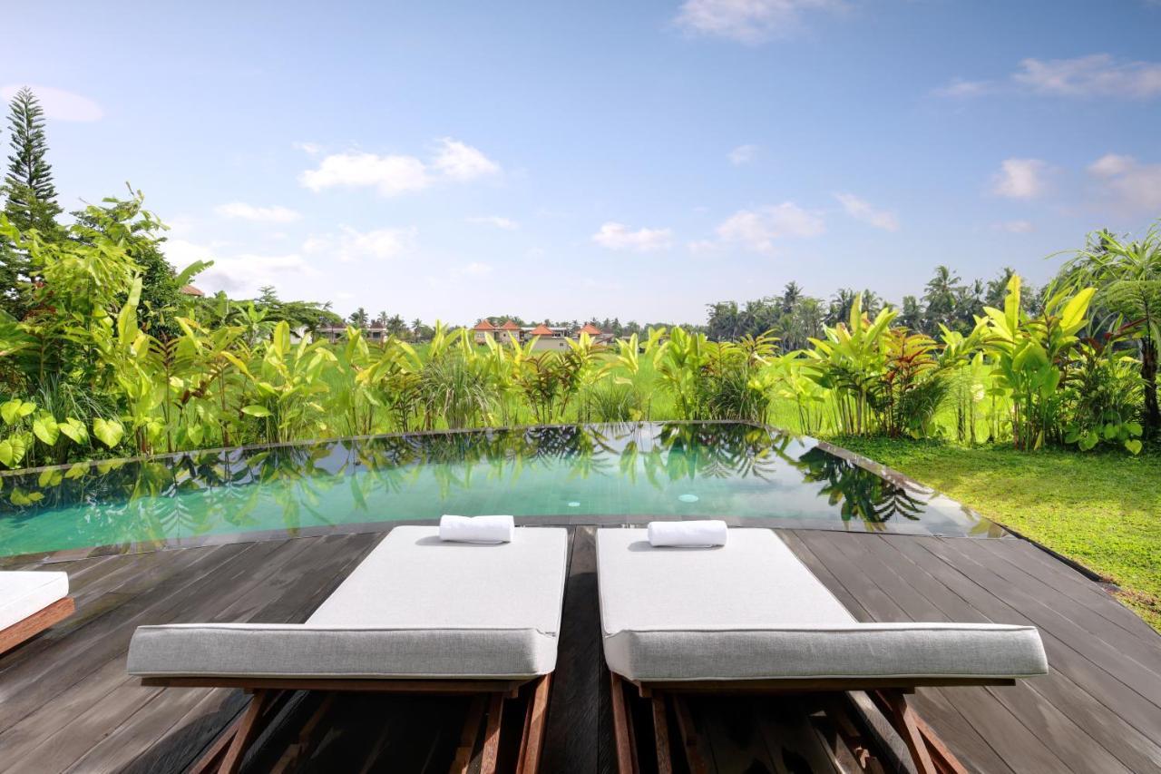 Mango Ubud Kültér fotó