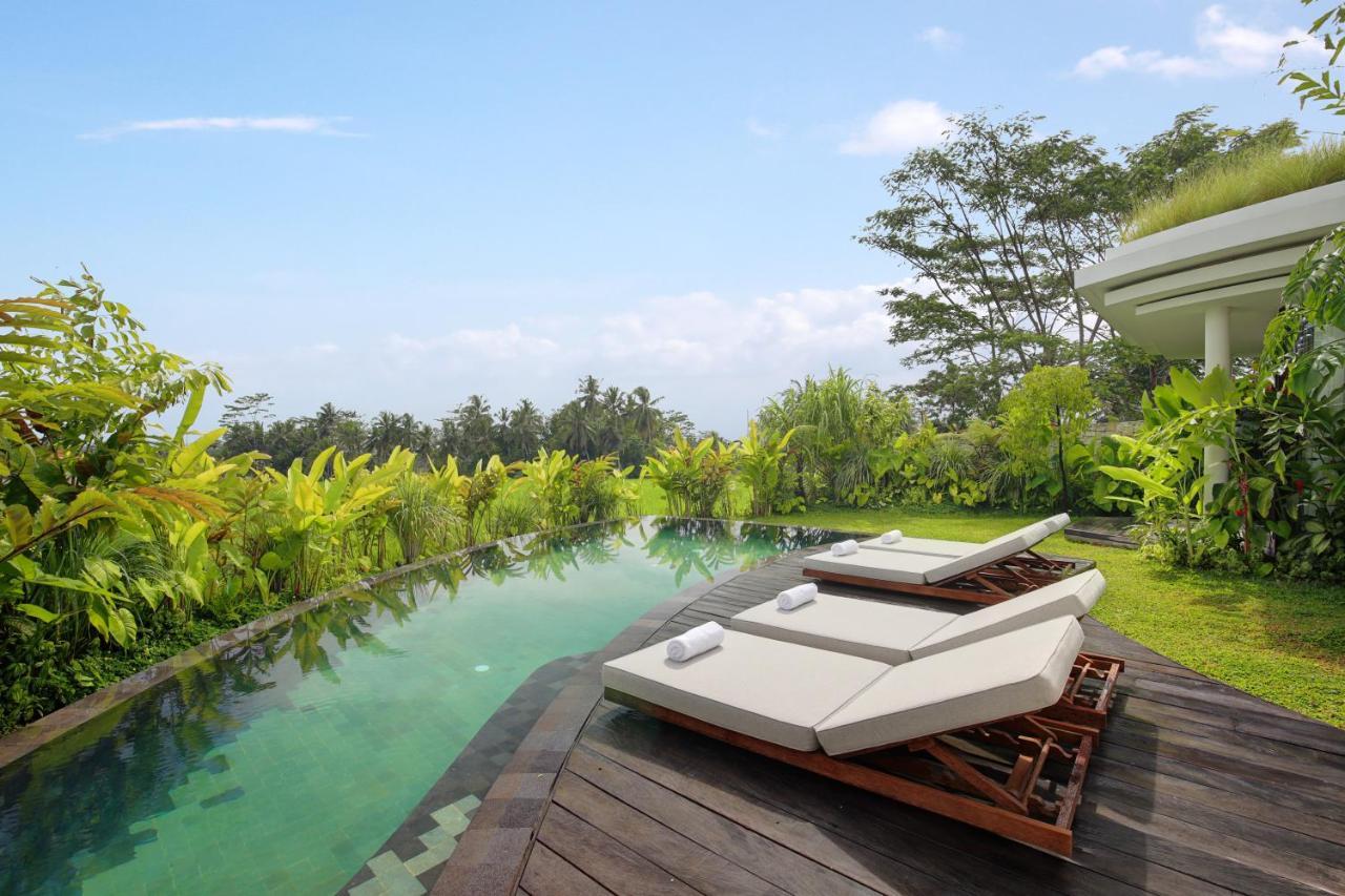 Mango Ubud Kültér fotó
