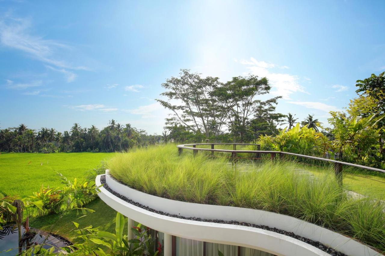 Mango Ubud Kültér fotó