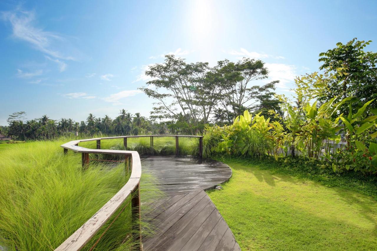 Mango Ubud Kültér fotó